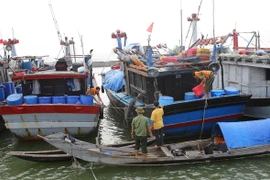 Kiểm tra, hướng dẫn và giúp đỡ ngư dân đưa tàu thuyền vào neo đậu tránh trú bão số 7. (Ảnh: Hồ Cầu/TTXVN)