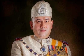 Tiểu vương Muhammad V của bang Kelantan sẽ trở thành Nhà vua tiếp theo của Malaysia. (Nguồn: imgrum.net)