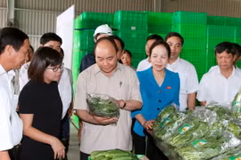 Thủ tướng Nguyễn Xuân Phúc thăm Dự án đầu tư nông nghiệp ứng dụng công nghệ cao Vineco Hải Phòng. (Ảnh: Thống Nhất/TTXVN)