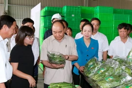 Thủ tướng Nguyễn Xuân Phúc thăm Dự án đầu tư nông nghiệp ứng dụng công nghệ cao Vineco Hải Phòng. (Ảnh: Thống Nhất/TTXVN)