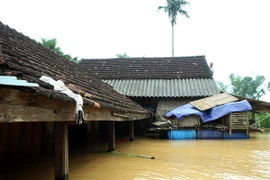 Nhiều hộ dân ở xóm 6 xã Phương Điền, huyện Hương Khê bị ngập sâu do mưa lũ. (Ảnh: Tuấn Anh/TTXVN)