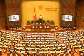 Toàn cảnh kỳ họp thứ nhất Quốc hội khóa XIV. (Nguồn: TTXVN)