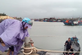 Người dân chằng chống tàu thuyền để ứng phó với bão số 4. (Ảnh: Đức Thọ/TTXVN)