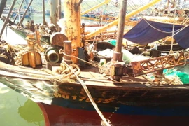 Hàng loạt tàu vỏ thép ở Bình Định vừa được đóng mới đã bị sét gỉ, hư hỏng nặng. (Ảnh: Nguyên Linh/TTXVN)