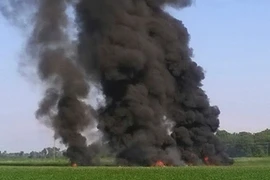 Hiện trường vụ rơi máy bay. (Nguồn: AP)