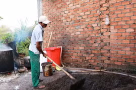 Pha trộn tạp chất vào hạt tiêu. (Ảnh minh họa: Chí Tưởng/TTXVN)