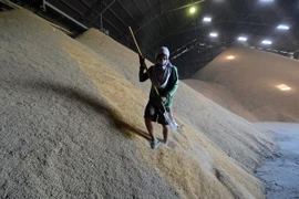 Một kho gạo tại Bangkok, Thái Lan. (Nguồn: AFP/TTXVN)