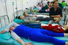 (Ảnh minh họa: Huyền Trang/TTXVN)