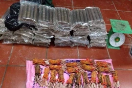 (Ảnh minh họa: Trung Nguyên/TTXVN)