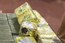 (Ảnh minh họa: Trần Hoàng Ngọc/TTXVN)