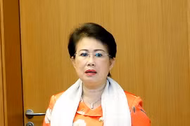Bà Phan Thị Mỹ Thanh, Phó Bí thư Tỉnh ủy, Trưởng Đoàn Đại biểu Quốc hội tỉnh Đồng Nai. (Ảnh: An Đăng/TTXVN)