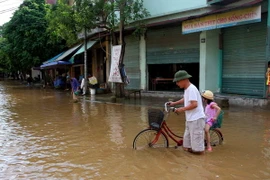 (Ảnh minh họa: Thế Duyệt/TTXVN)