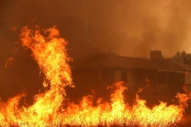 Khói lửa bốc ngùn ngụt trong vụ cháy rừng ở Mariposa, California (Mỹ) ngày 19/7. (Nguồn: AFP/TTXVN)