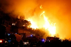 Lực lượng cứu hỏa dập lửa cháy rừng tại Biguglia, đảo Corsica, Pháp ngày 24/7. (Nguồn: AFP/TTXVN)