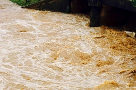 (Ảnh minh họa: Việt Hoàng/TTXVN)