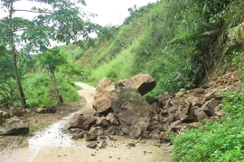 (Ảnh minh họa: Xuân Tiến/TTXVN)