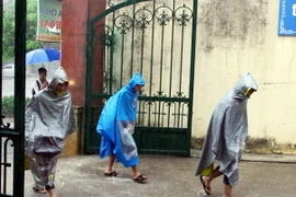 (Ảnh minh họa: Quân Trang/TTXVN)