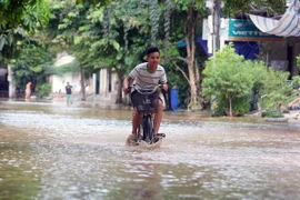 (Ảnh minh họa: Thế Duyệt/TTXVN)