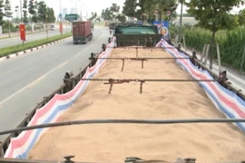 Đoàn xe tải chở cát không rõ nguồn gốc. (Ảnh: Huyền Trang/TTXVN)