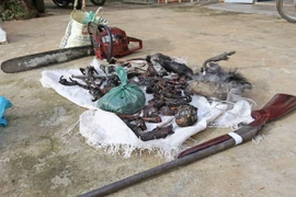 (Ảnh minh họa: Nguyễn Dũng/TTXVN)