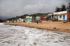 (Ảnh minh họa: An Hiếu/TTXVN)