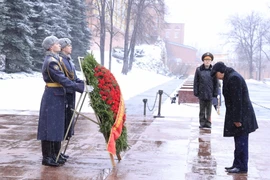 Chủ tịch nước đặt vòng hoa tại Đài tưởng niệm các Chiến sỹ Vô danh