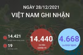 [Infographics] Tình hình dịch bệnh COVID-19 tại Việt Nam ngày 28/12