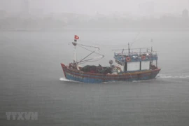 Cảnh báo mưa dông trên vùng biển phía Nam, có khả năng xảy ra lốc xoáy