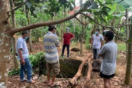 Bà Rịa-Vũng Tàu: Đối tượng đâm 3 người thương vong ra đầu thú