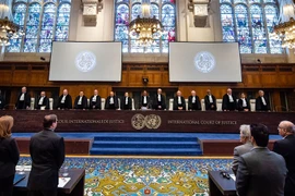 Việt Nam và HĐBA: Kiện toàn nhân sự Tòa án Công lý Quốc tế