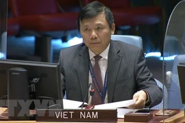 Việt Nam kêu gọi tôn trọng nguyên tắc giải quyết hòa bình tranh chấp