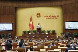 Quang cảnh phiên họp. (Ảnh: Doãn Tấn/TTXVN)