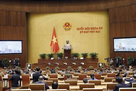 Quang cảnh phiên họp. (Ảnh: Doãn Tấn/TTXVN)
