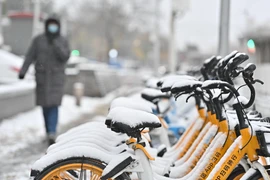 Bão tuyết hoành hành gây gián đoạn giao thông tại Trung Quốc 