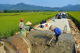Triển khai Chương trình mục tiêu quốc gia xây dựng nông thôn mới