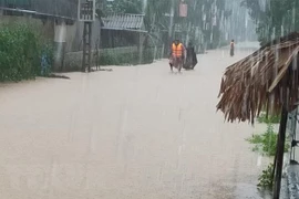 Cảnh báo lũ trên các sông từ Nghệ An đến Ninh Thuận và Tây Nguyên