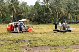 Bộ trưởng Lê Minh Hoan: Xây dựng nền nông nghiệp không đánh đổi