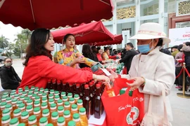 Phát động nhắn tin 'Tết vì người nghèo và nạn nhân chất độc da cam'