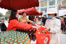 Phát động nhắn tin 'Tết vì người nghèo và nạn nhân chất độc da cam'