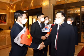 Quan hệ Việt Nam-Hàn Quốc ngày càng phát huy hiệu quả, thực chất