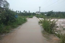 Mưa lớn trên diện rộng gây sạt lở, ngập úng nhiều nơi tại Đắk Nông