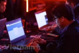 Ảnh minh họa. (Nguồn: Vietnam+)