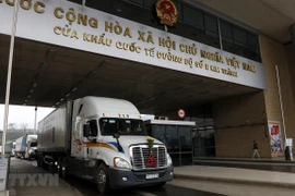 Các xe container chở hàng nông sản chờ làm thủ tục xuất khẩu sang Trung Quốc tại Cửa khẩu quốc tế đường bộ số II Kim Thành. (Ảnh: Quốc Khánh/TTXVN)