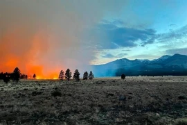 Khói lửa bốc lên từ đám cháy rừng ở bang Arizona, Tây Nam nước Mỹ ngày 19/4. (Ảnh: AP/TTXVN)