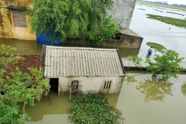 Mưa lớn trong nhiều ngày qua đã khiến hàng trăm hộ dân ở huyện Thiệu Hóa (Thanh Hóa) bị ngập sâu trong nước lũ, cuộc sống, sinh hoạt gặp nhiều khó khăn. (Ảnh: TTXVN phát)