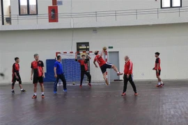 Đội tuyển Bóng ném nam đang tập luyện tại nhà tập luyện môn Bóng ném trong nhà trường đại học Thể dục thể thao Bắc Ninh. (Ảnh: Đinh Văn Nhiều/TTXVN)