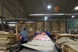 Nhà máy ván ép xuất khẩu của Công ty TNHH Hoàng Gia Yên Bái. (Ảnh: Tiến Khánh/TTXVN)