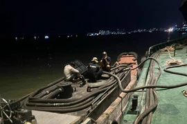 (Ảnh minh họa: TTXVN phát)