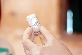 42.800 liều vaccine Moderna (liều 0,25ml) đã được Bộ Y tế cấp cho tỉnh Nam Định để triển khai tiêm phòng COVID-19 cho trẻ từ 5 đến dưới 12 tuổi trên địa bàn tỉnh. (Ảnh: Văn Đạt/TTXVN)