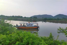 (Ảnh minh họa: TTXVN phát)